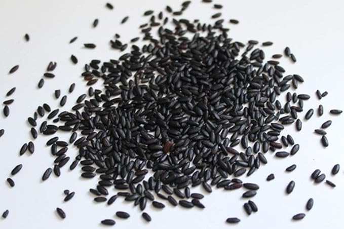 Black Rice 500 Seeds Forbidden Nutty Flavor Easy to Grow Organic Plants viable!