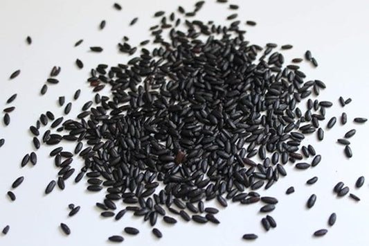 Black Rice 500 Seeds Forbidden Nutty Flavor Easy to Grow Organic Plants viable!