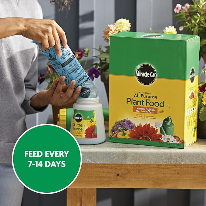 Miracle-Gro Water Soluble All Purpose Plant Food,Plant Fertilizer for Indoor or Outdoor Plants,Roses,Flowers,Houseplants,Vegetables and Trees,10 lb.,(Pack of 4)