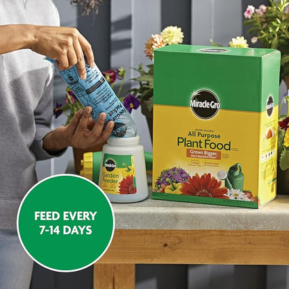 Miracle-Gro Water Soluble All Purpose Plant Food,Plant Fertilizer for Indoor or Outdoor Plants,Roses,Flowers,Houseplants,Vegetables and Trees,10 lb.,(Pack of 4)