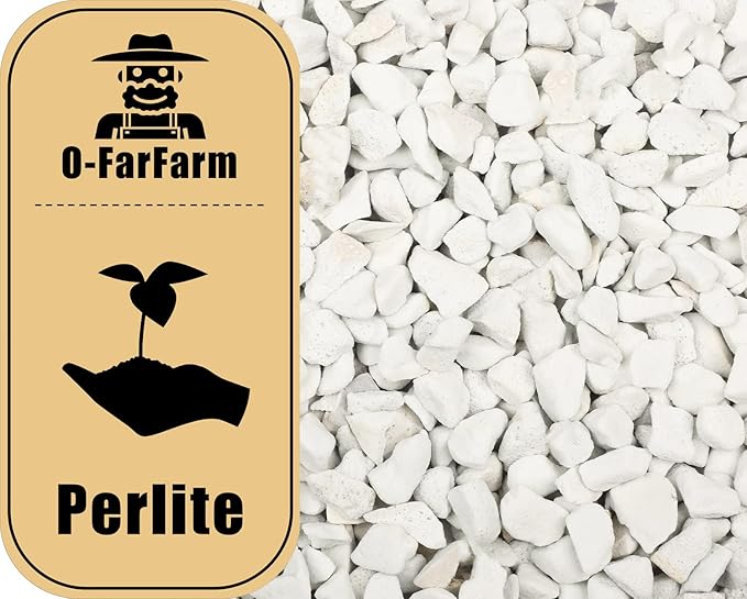 Chunky Perlite Bulk 5Qt, Horticultural Pearlite Coarse Perlite for Plants Indoor, Additive Conditioner Mix, Improve Drainage and Ventilation, Help Root Growth (5-10mm)