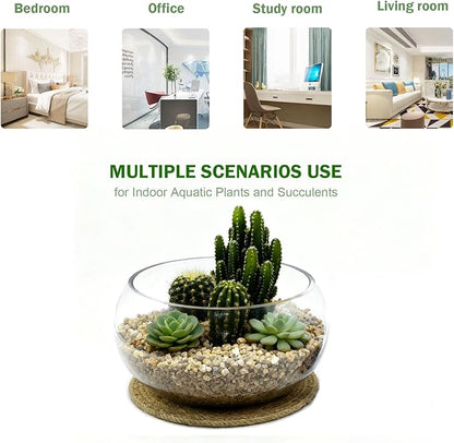 8-Inches Small Lotus Bowl Planter Clear Glass Lotus Flower Succulent Bowl Indoor Hydroponic Aquatic Plant Bonsai Terrarium Table Centerpiece Lotus Pot Can Double As a Fish Tank (Small)