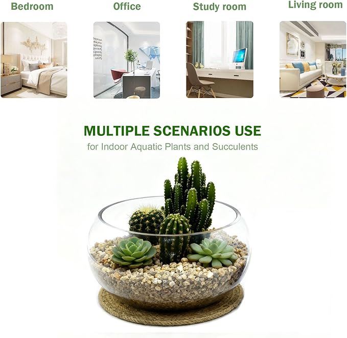 10-Inches Large Lotus Bowl Planter Clear Glass Lotus Flower Succulent Bowl Indoor Hydroponic Aquatic Plant Bonsai Terrarium Table Centerpiece Lotus Pot Can Double As a Fish Tank (Large)