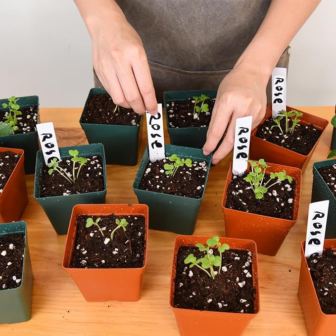 June Fox 100 Pack Green Red Square Nursery Pots with Drainage Holes 3.3 Inches Flexible Plastic Seedling Pots Square Pots for Plants, Succulent, Flower, with Plant Labels