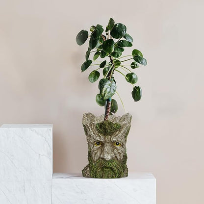 Face Planter - Unique Old Man Tree Face Planters for Outdoor Indoor Plants with Drainage Hole, Funny Plant Pots for Succulents - Creative Flower Pots as Gifts for Women and Men (Green Man)