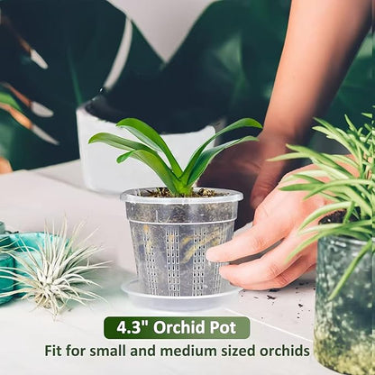 Orchid Pot with Saucers, 6 Pack 4.3" Orchid Pots with Holes and 10Pcs Plant Stakes, Clear Plastic Flower Plant Pot for Indoor Outdoor Plants