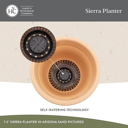 The HC Companies Sierra Round Self-Watering Pot - Lightweight Plastic Planter for Herbs & More - Durable Plant Pots for Indoor Plants & Outdoor Plants (7.5” Black Onyx, Pack of 2)