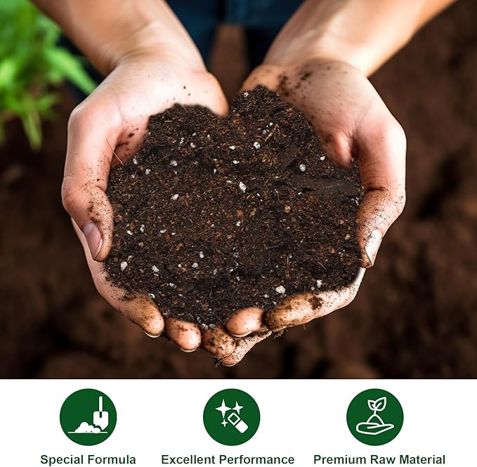All-Natural Potting Soil for Anthurium & Indoor Plants 1qt - Enhanced Drainage, No Additives | Premium Indoor Plant Soil Mix