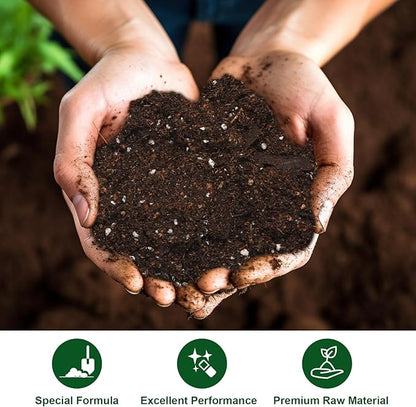 All-Natural Potting Soil for Anthurium & Indoor Plants 10qt - Enhanced Drainage, No Additives | Premium Indoor Plant Soil Mix