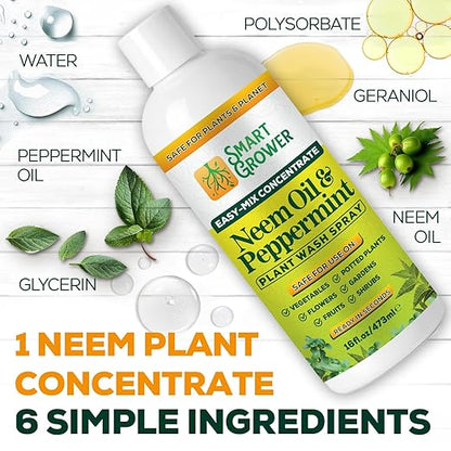 Neem Oil Spray for Plants with Peppermint Oil – for Indoor & Outdoor Plants, Gardens, & Houseplants– Best Value Refill 16 oz Concentrate Makes 2 Gallon RTU
