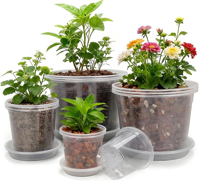 10/8/6/4 Inch Clear Nursery Pots with Drainage Holes and Saucers, 12 Pack Clear Pots for Plants Variety Pack, Seedling Pots for Succulents, Herbs, Flowers, Vegetables