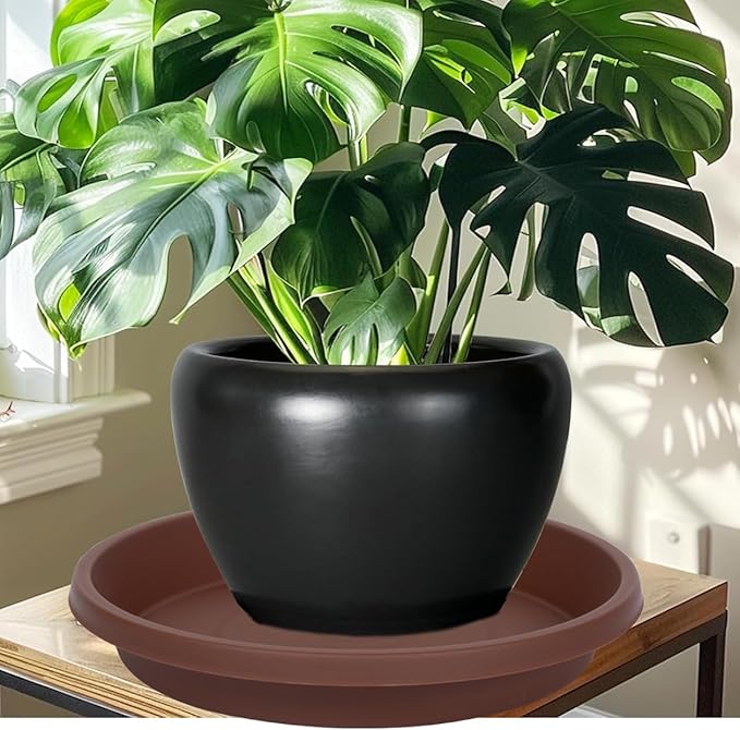 Plastic Plant Saucer Round 12 Inch Extra Large Pack of 2 Heavy Duty Drip Trays for Large Pots