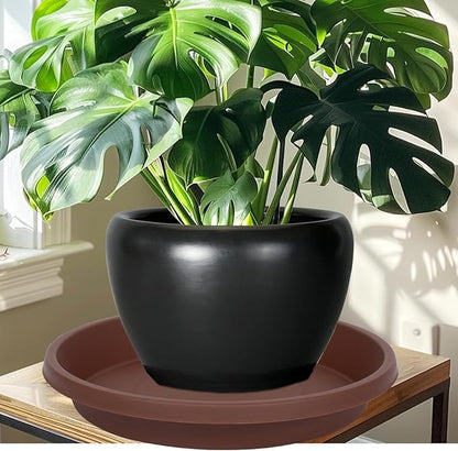 Plastic Plant Saucer Round 10 Inch Pack of 2 Thickened Drip Trays for Indoor Plants and Outdoor Pots