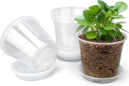 6 Inch Clear Nursery Pots with Drainage Trays, 15 Pack Plastic Pots for Plants, Clear Pot for Seed Starting, Transplanting, Succulents, and Indoor Gardening (6 inch)