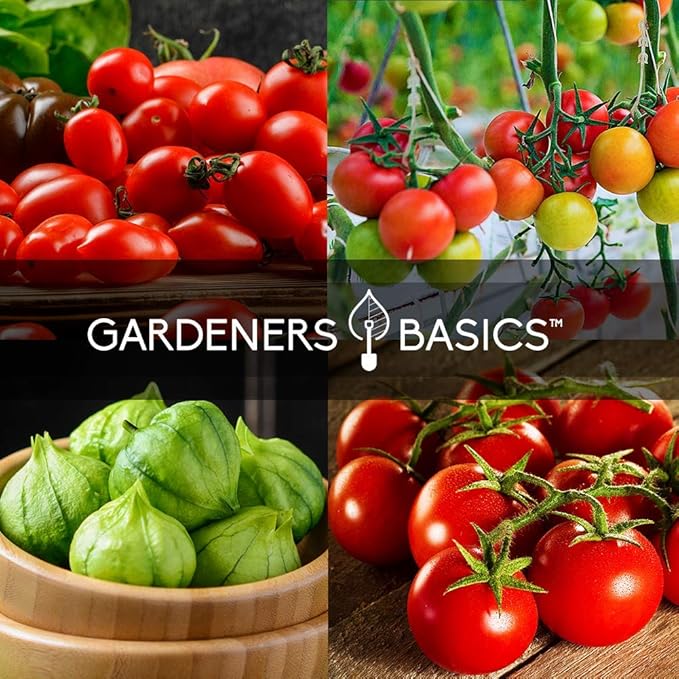 Gardeners Basics, Heirloom Tomatoes for Planting 8 Variety Pack, San Marzano, Roma VF, Large Cherry, Ace 55 VF, Yellow Pear, Tomatillo, Brandywine Pink, Golden Jubilee Tomato Seeds for Garden Non GMO