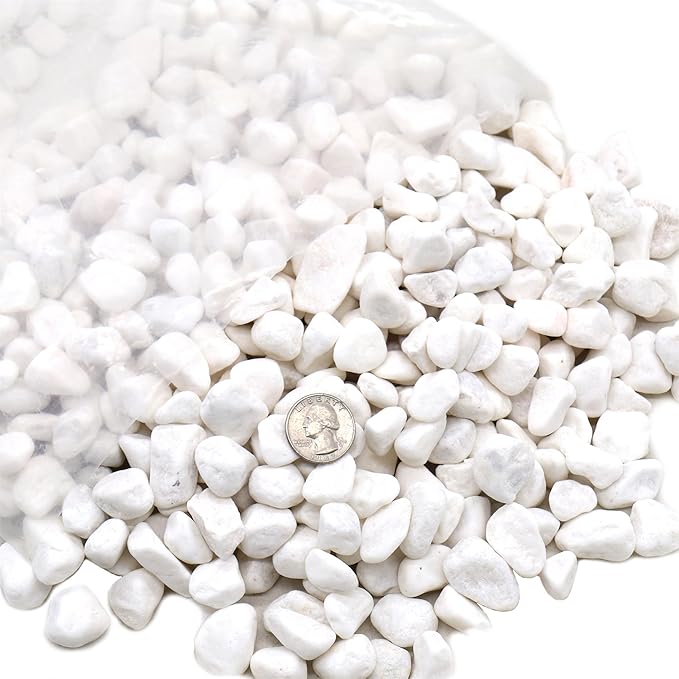 Rocks for Plants. White Decorative Pebbles. 0.5 to 1 Inch 18 lbs. for Garden, Landscaping, Indoor, Vase fillers, Crafting, Succulents, pots, Plants