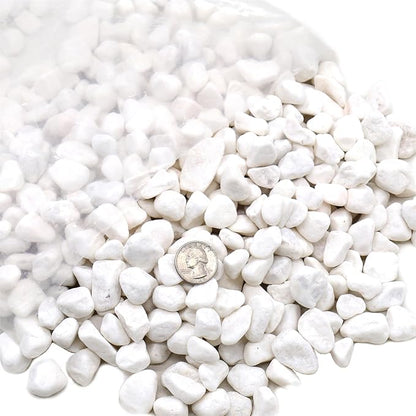 Rocks for Plants. White Decorative Pebbles. 0.5 to 1 Inch 18 lbs. for Garden, Landscaping, Indoor, Vase fillers, Crafting, Succulents, pots, Plants