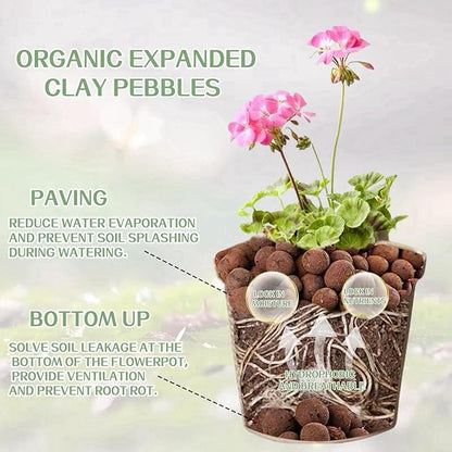 6LB Organic Expanded Clay Pebbles, Natural 4-16mm Clay Pebbles for Plants, for Potting Plants, Growing Bulbs Indoors,and Hydroponics,Light-Weight and Absorbent The Pebbles…