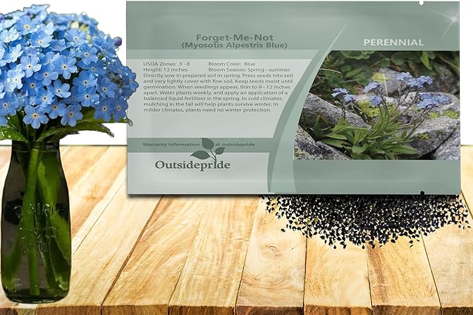 Outsidepride Blue Forget Me Not Seeds - 10000 Pcs Low Growing, Self-Sowing Perennial Flower Seeds for Planting Dense Blue Blooms & Upright Growth Habit for Meadows, Pollinator & Cottage Gardens