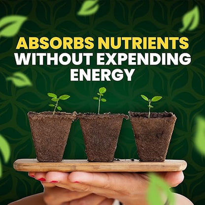 GreenGro Green Aminos, Rooting Stimulator Blend with Amino Acids and Nutrients for Potting Mix, Soils, Cuttings, and Hydroponic Gardens, Organic Plant Food for Indoor and Outdoor Plants