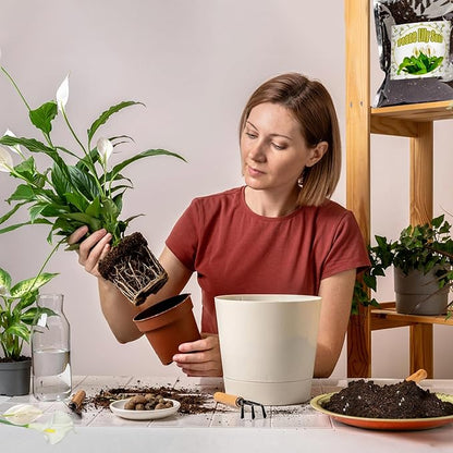 Organic Peace Lily Soil Mix 4qt, Indoor Plants Potting Mix for Planting, Growing, or Repotting Peace Lily Plants, Grow Healthy houseplants Indoors