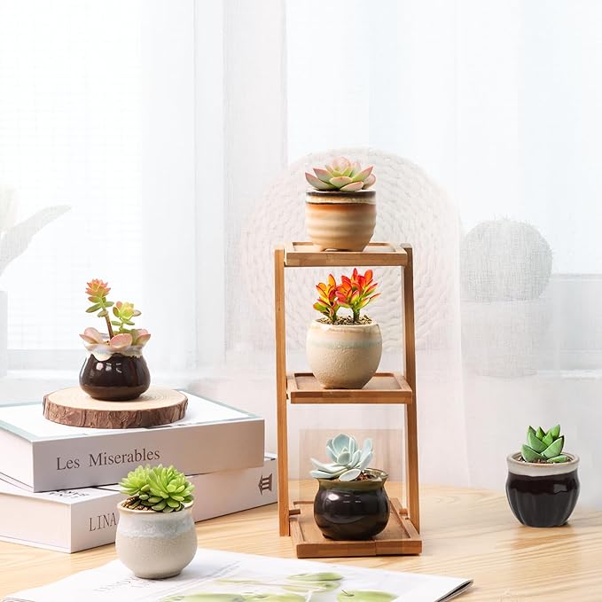 T4U Small Ceramic Succulent Pots with Drainage - Set of 12, Mini Pots for Plants, Home and Office Decor, Plant Lover Gifts for Women