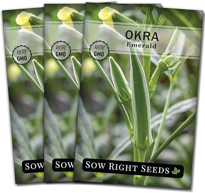 Sow Right Seeds - Emerald Okra Seeds for Planting - Non-GMO Heirloom Packet with Instructions to Plant a Home Vegetable Garden - Classic Green Pods on Tall Stalks - Make Fried Okra (3)