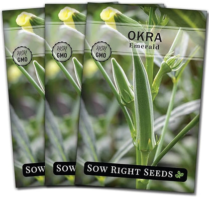 Sow Right Seeds - Emerald Okra Seeds for Planting - Non-GMO Heirloom Packet with Instructions to Plant a Home Vegetable Garden - Classic Green Pods on Tall Stalks - Make Fried Okra (3)
