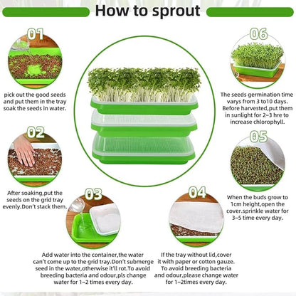 Seed Sprouter Tray 2PCS Soil-Free Wheatgrass Grower Sprouting Container with Lid 20CPS Germinating Growing Paper