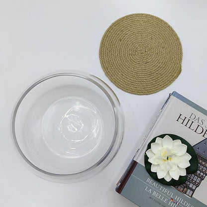 10-Inches Large Lotus Bowl Planter Clear Glass Lotus Flower Succulent Bowl Indoor Hydroponic Aquatic Plant Bonsai Terrarium Table Centerpiece Lotus Pot Can Double As a Fish Tank (Large)