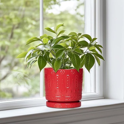 6 Inch Plant Pot, Ceramic Flower Pots for Indoor Outdoor Plants, Round Pots for Plants with Drainage Hole and Tray, Boho Decorative Planter, Kitchen Decor, Gardening Gifts for Women, Red