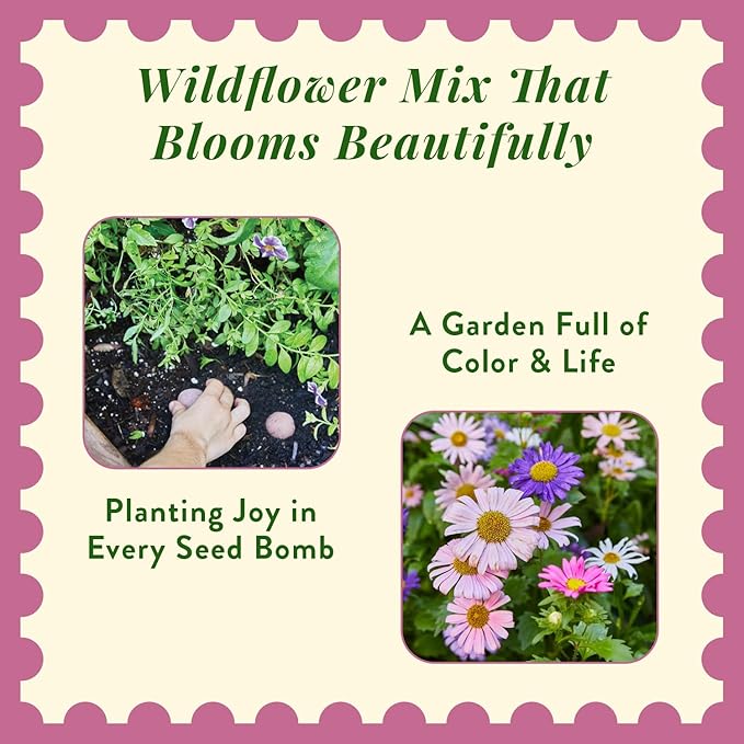 Modern Sprout Wildflower Seed Ball Poop - Non-GMO, Hand-Rolled Clay Seed Bombs with Wildflower Seeds - Plop Plant & Grow Gardening Gift Set for Kids & Adults - (Magical Plop - Pack of 3)