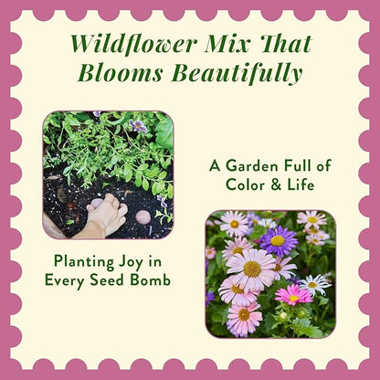 Modern Sprout Wildflower Seed Ball Poop - Non-GMO, Hand-Rolled Clay Seed Bombs with Wildflower Seeds - Plop Plant & Grow Gardening Gift Set for Kids & Adults - (Magical Plop - Pack of 3)