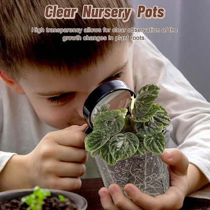Clear Nursery Pots with Drainage, 40 Pack Transparent Plastic Orchid Planters, 3 Sizes Plant Pots 6/5/4 Inch with 40 Plant Labels for Seedlings, Succulents, Indoor/Outdoor Repotting