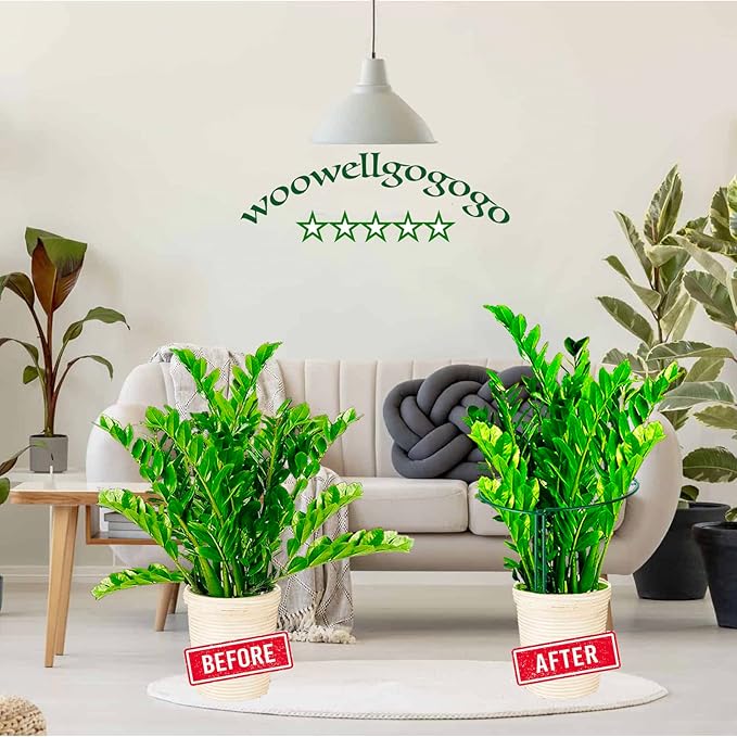 Half Round Snake Plant Support Stakes, Plant Ring for Peonies, Hydrangeas, ZZ, and More - Sturdy, Rust-Proof Plant Support Cages for Indoor and Outdoor Potted Plants (6 Pack, 14x8Inch)