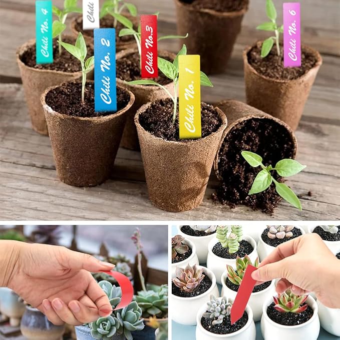 300 Pcs Plant Labels，6 Colors 4 Inch Plastic Plant Name Tags for Seedlings Garden Labels Markers Nursery Waterproof Plant Tags Seed Labels Plant Markers