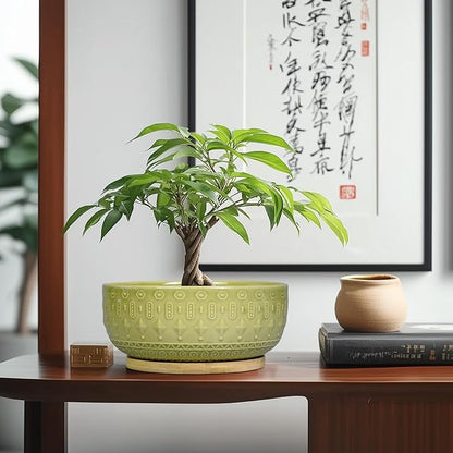 Bonsai Tree Pot - 8 Inch Ceramic Succulent Pots with Drainage Hole and Saucer, Boho Round Shallow Planter Bowl for Indoor Plants Flower, Office Decor, Gifts for Women & Men, Green