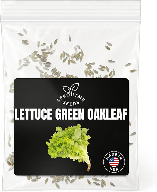 Green Oakleaf Lettuce Seeds for Planting – 500+ Non-GMO Heirloom Leaf Lettuce, Tender Oak Leaf Salad Greens for Spring & Fall Growing, High Germination (Lactuca Sativa)