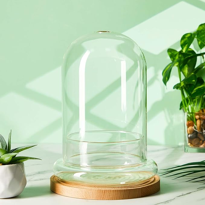 1 Pcs 5.9 x 7.9 Inch Glass Terrarium Clear Terrarium Planter Container Glass Dome Cloche with Airhole and Base for Plant Flower Home Tabletop Display Centerpiece, Plants Not Included