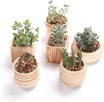 Sun-E 6 in Set 7.6 cm Ceramic Wooden Pattern Succulent Plant Pot Cactus Plant Pot Flower Pot Container Planter Gift Idea