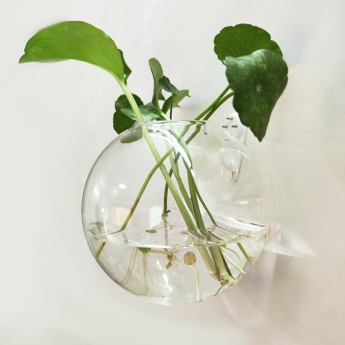 6 Pack Hanging Wall Vases, Glass Hainging Planter Propagation Station Terrarium, 4.7" Globe Wall Planters for Indoor Plants,Home Decor