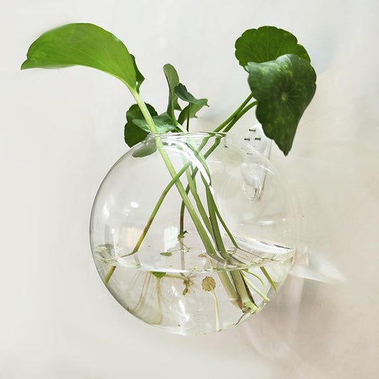 6 Pack Hanging Wall Vases, Glass Hainging Planter Propagation Station Terrarium, 4.7" Globe Wall Planters for Indoor Plants,Home Decor