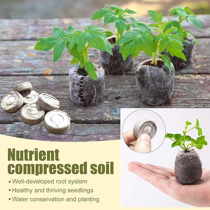 255 Pcs 30mm Peat Pellets Seed Starter Soil,Compressed Seed Starting Soil for Seed Starting of Plants, Fruits, Vegetables, Flowers, Easy Planting and Transplanting for Efficiency (255)