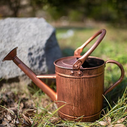 1 Gallon Watering Can, Copper Watering Can, Metal Water Can with Removable Spout, Perfect Plant Water Can for Indoor and Outdoor