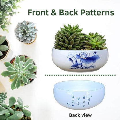 Lotus Bowl Planter, Ceramic Water Lily Bowl, Hydroponic Bonsai Lotus Bowls for Water Plants Indoor, Succulent Pots, Leak-Proof Design (7.68in*2.95in)