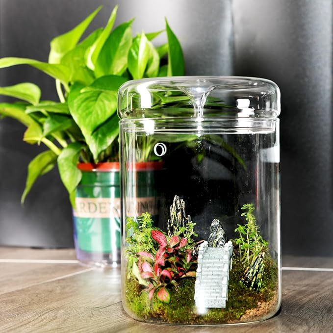 Small Glass Terrarium Jar with Lid – 4.7 x 7 Inch Closed Plant Terrarium for Succulents, Moss, Venus Fly Trap & Self-Sustaining Ecosystems – Ideal Indoor Decor for Home & Tabletop