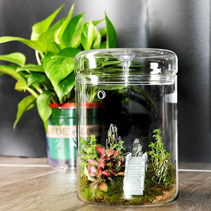 Small Glass Terrarium Jar with Lid – 4.7 x 7 Inch Closed Plant Terrarium for Succulents, Moss, Venus Fly Trap & Self-Sustaining Ecosystems – Ideal Indoor Decor for Home & Tabletop