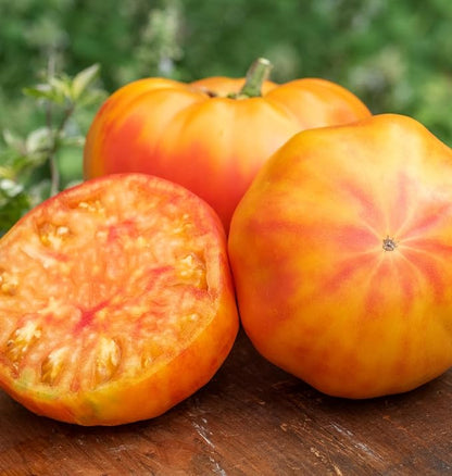 Burpee 'Big Rainbow' Heirloom, Large Beefsteak Slicing Tomato, 100 Non-GMO Seeds
