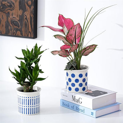 Pots of Indoor Plants 4 Inch Succulents Flower Pots Set of 2 Ceramic Planters Painted Blue Lines and Polka Dots Flower Pots with Drainage Hole for Cactus and Small Houseplants Gifts