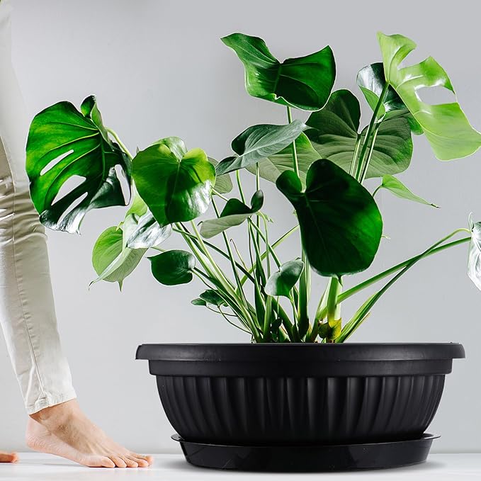 5 Sets Plant Pots 13 Inches Jumbo Plastic Flowers Garden Bowl Planter with Plant Saucers Large Black Wide Shallow Plant Pots with Drainage Holes Planter Bowl for Indoor Outdoor Flowers Herbs